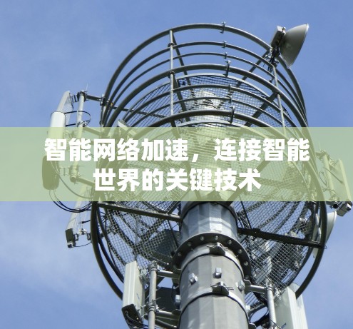 智能网络加速，连接智能世界的关键技术