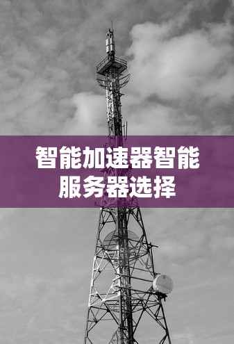 智能加速器智能服务器选择