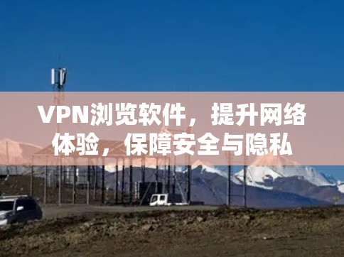 VPN浏览软件，提升网络体验，保障安全与隐私