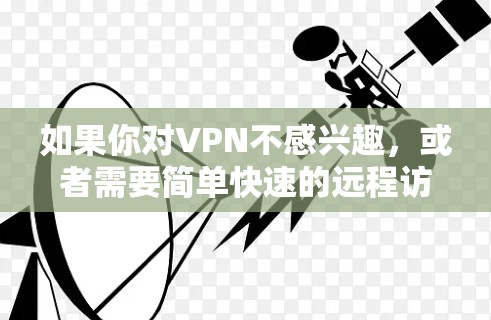 如果你对VPN不感兴趣，或者需要简单快速的远程访问功能，可以尝试以下免费VPN工具