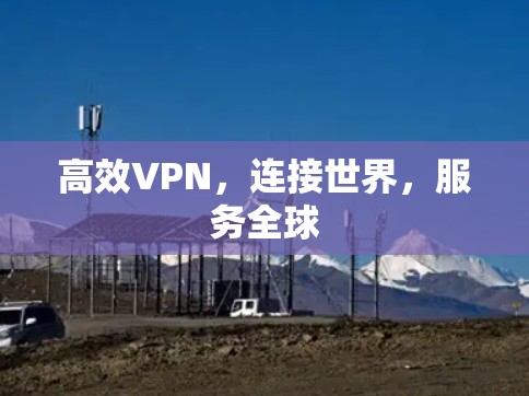 高效VPN，连接世界，服务全球