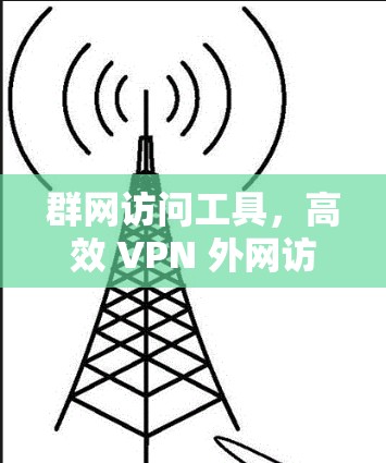 群网访问工具，高效 VPN 外网访问工具