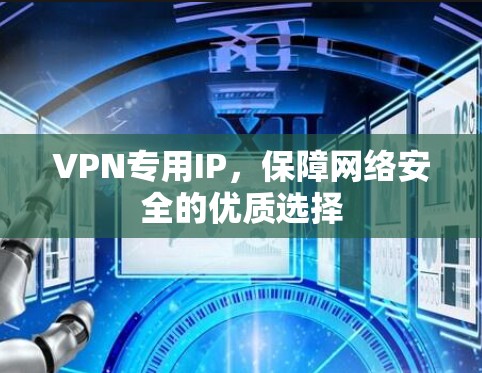 VPN专用IP，保障网络安全的优质选择