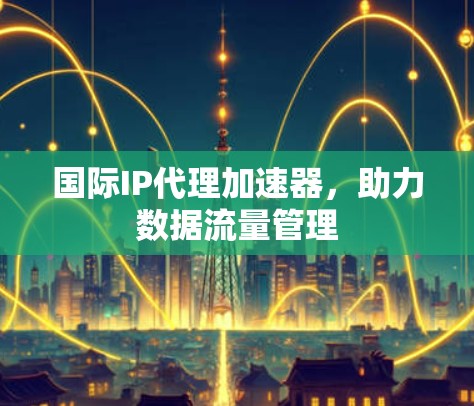国际IP代理加速器，助力数据流量管理