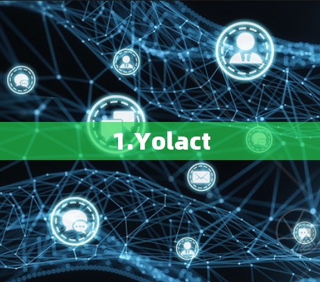 1.Yolact