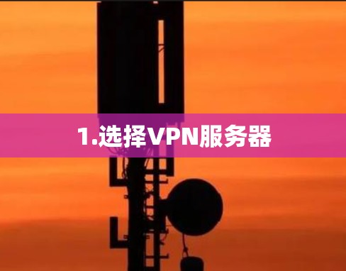 1.选择VPN服务器