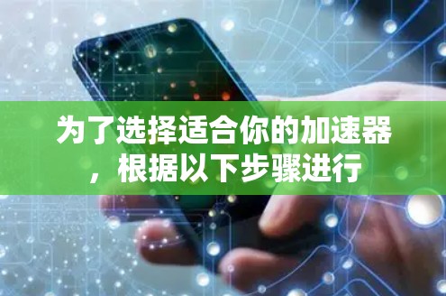 为了选择适合你的加速器，根据以下步骤进行