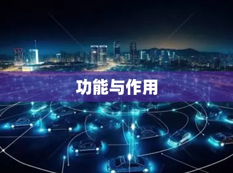 功能与作用