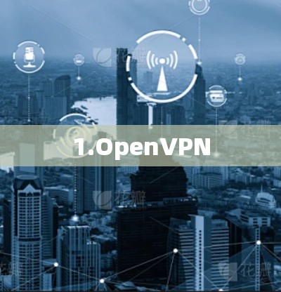 1.OpenVPN 1.OpenVPN