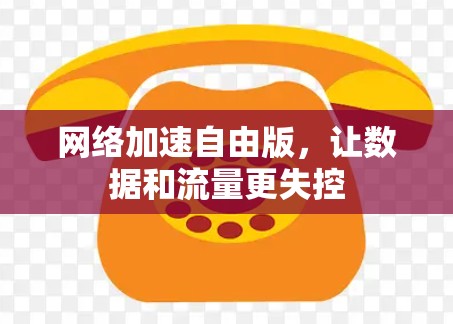 网络加速自由版,让数据和流量更失控 网络加速自由版,让数据和流量更失控