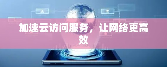 加速云访问服务,让网络更高效 加速云访问服务,让网络更高效