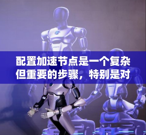 配置加速节点是一个复杂但重要的步骤，特别是对于需要处理大规模数据或频繁网络访问的服务器环境。以下是一个有条理的配置指南，帮助您系统地配置加速节点