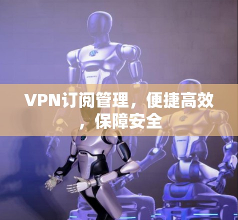 VPN订阅管理,便捷高效,保障安全 VPN订阅管理,便捷高效,保障安全