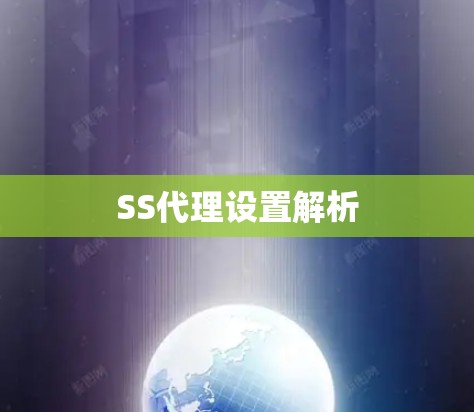 SS代理设置解析 SS代理设置解析