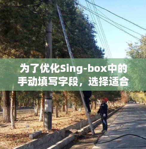 为了优化Sing-box中的手动填写字段，选择适合的代理工具是一个有效的方法。以下是对Singbox字段类型的分析和推荐代理工具的建议