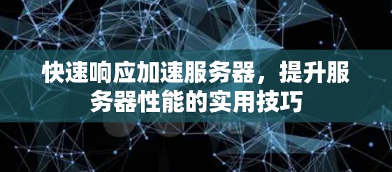 快速响应加速服务器，提升服务器性能的实用技巧