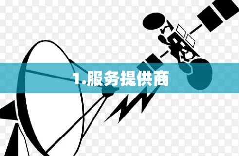 1.服务提供商