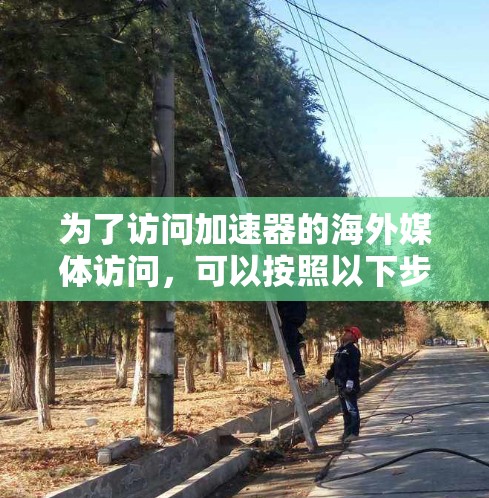 为了访问加速器的海外媒体访问，可以按照以下步骤进行