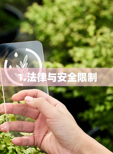 1.法律与安全限制