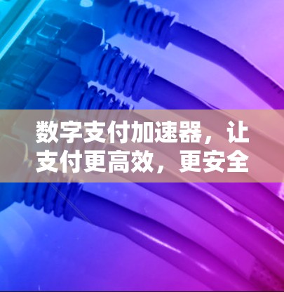 数字支付加速器，让支付更高效，更安全