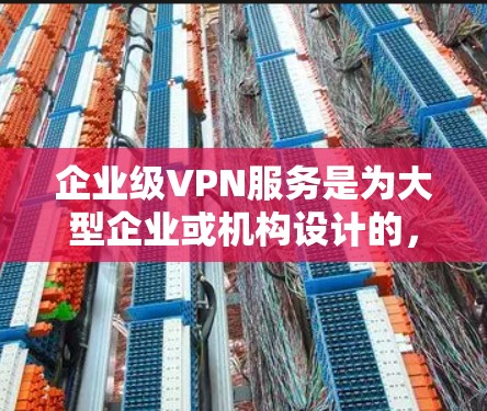 企业级VPN服务是为大型企业或机构设计的，旨在提供高度的安全、高效的网络传输服务。以下是对企业级VPN服务的详细分析