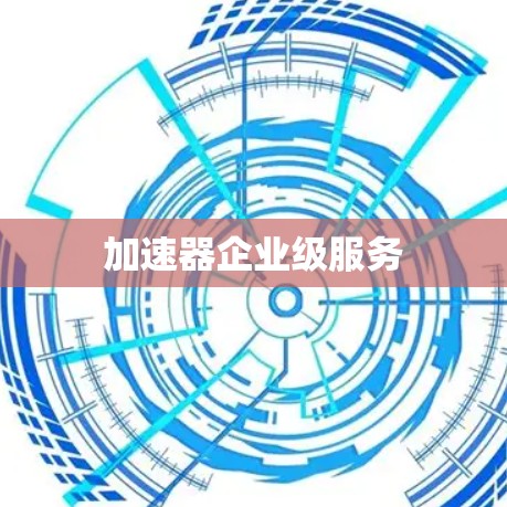 加速器企业级服务