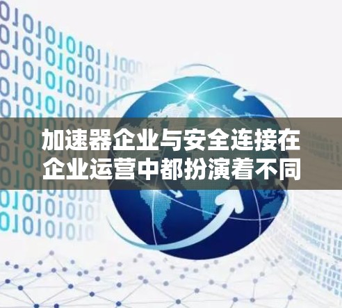 加速器企业与安全连接在企业运营中都扮演着不同的角色，但两者在安全方面存在不同的问题。以下是对这两个概念的详细分析及平衡建议