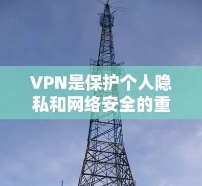 VPN是保护个人隐私和网络安全的重要工具，但选择一个可靠的VPN服务需要考虑多个因素，包括服务提供商的信誉、VPN功能、安全性和地区支持等。以下是推荐的一些VPN服务，供您参考