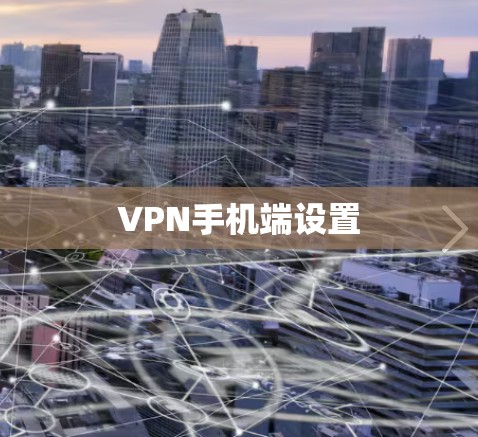 VPN手机端设置