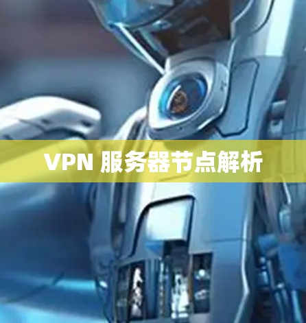 VPN 服务器节点解析