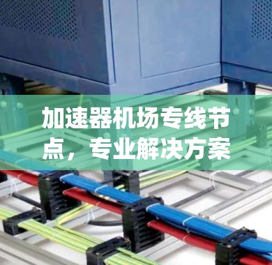 加速器机场专线节点，专业解决方案，助力复杂 airport 运输