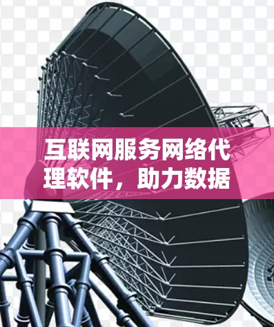 互联网服务网络代理软件，助力数据安全与高效传输