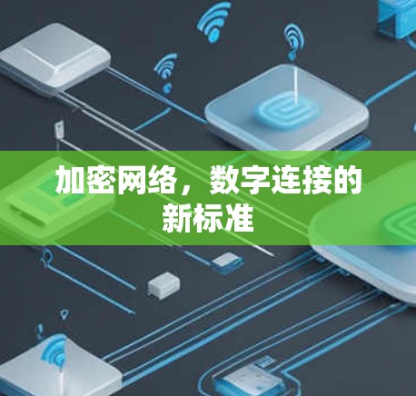 加密网络，数字连接的新标准