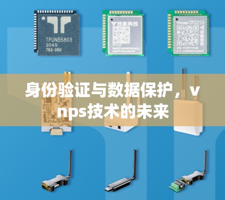 身份验证与数据保护，vnps技术的未来