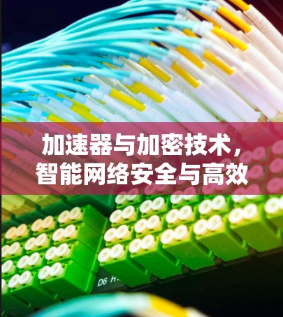 加速器与加密技术，智能网络安全与高效传输