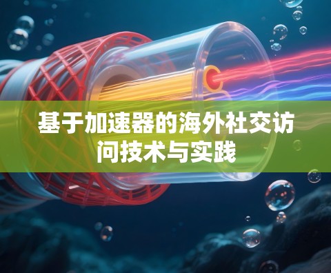 基于加速器的海外社交访问技术与实践