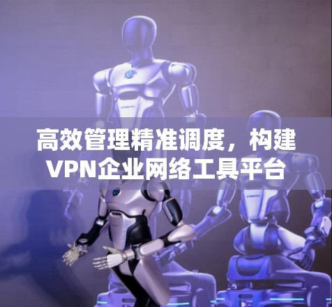 高效管理精准调度，构建VPN企业网络工具平台