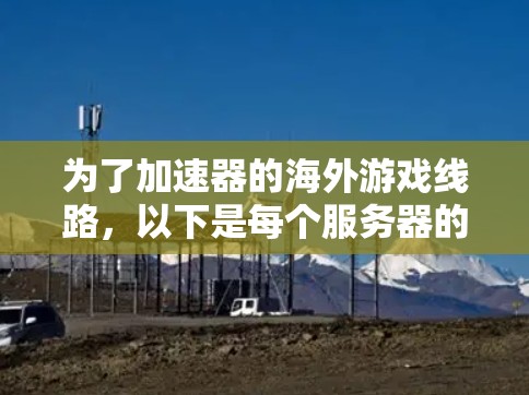 为了加速器的海外游戏线路，以下是每个服务器的具体配置建议，基于不同的流量规则和用户需求