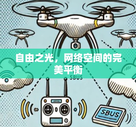 自由之光，网络空间的完美平衡