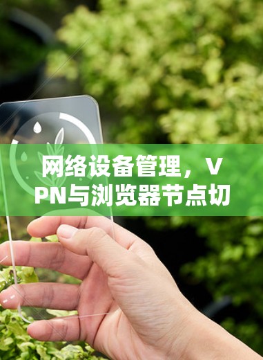 网络设备管理，VPN与浏览器节点切换技术解析