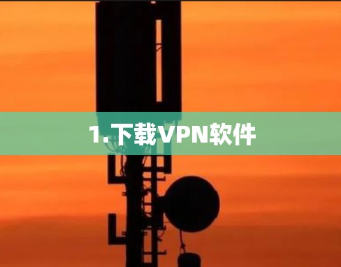 1.下载VPN软件