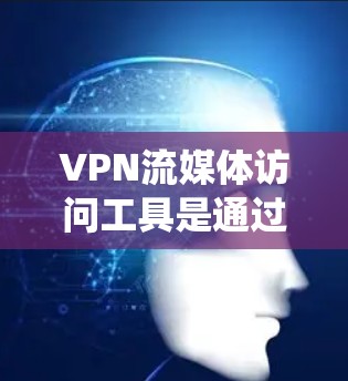 VPN流媒体访问工具是通过VPN连接到外部网络设备，访问流媒体内容的工具。以下是一个系统化的分析，涵盖了其功能、合法性、使用安全、隐私保护、便利性、成本收益以及用户需求等方面