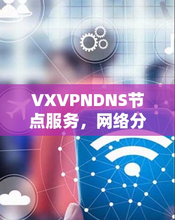 VXVPNDNS节点服务，网络分发技术的创新与发展