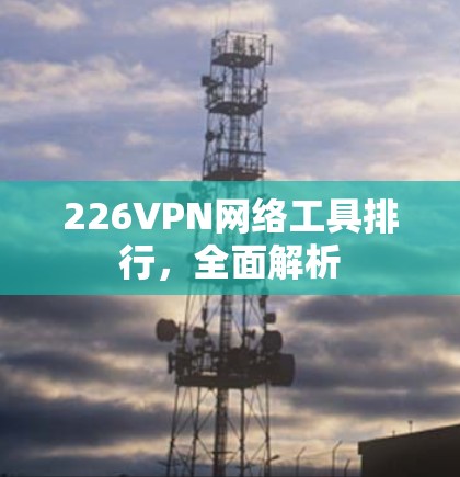 226VPN网络工具排行，全面解析