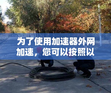 为了使用加速器外网加速，您可以按照以下步骤操作