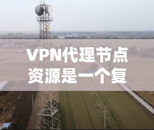 VPN代理节点资源是一个复杂且关键的系统组成部分，影响其性能、安全性和稳定性。以下是对这些资源的详细分析
