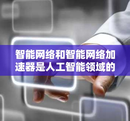 智能网络和智能网络加速器是人工智能领域的重要技术，以下是它们的详细解释和应用