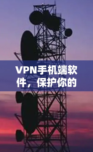 VPN手机端软件，保护你的网络安全