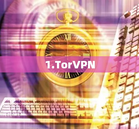 1.TorVPN