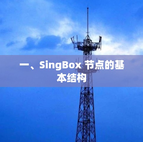 一、SingBox 节点的基本结构